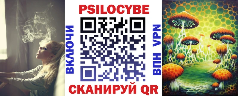 Галлюциногенные грибы Cubensis Новоалександровск